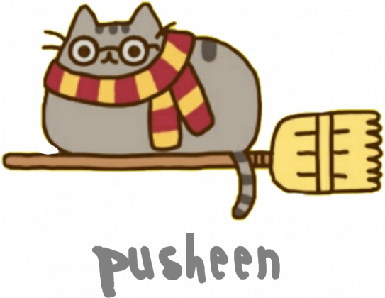 Dziewczęcy T-shirt "Pusheen" Wzór 7 Harry Potter