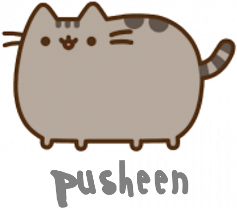 Chłopięcy T-shirt "Pusheen" Wzór 8