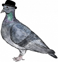 ANIMAL COLLECTION Torba "Mr. Pigeon" Kolorowa