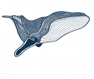 ANIMAL COLLECTION Torba "Whale love you" Biała obwódka