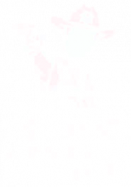 To już nie jest demokracja.