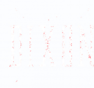 Team Dixon