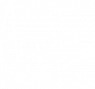 Aquila logo special for you