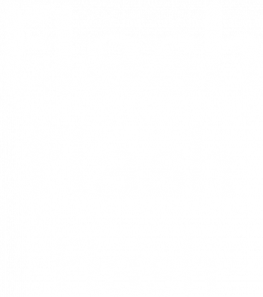 FlasH