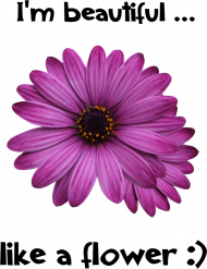 Koszulka BEAUTIFUL Wzór 01