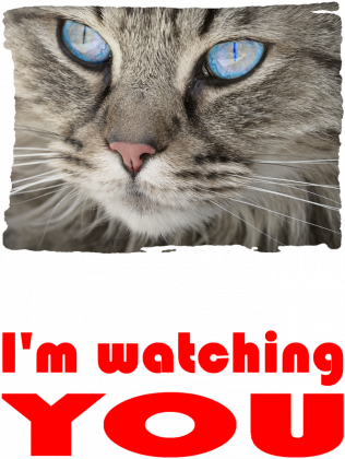 Koszulka damska WZÓR 1