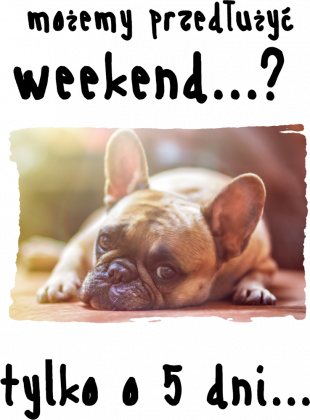 Koszulka damska PRZEDŁUŻYĆ WEEKEND