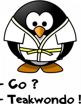 Koszulka CO TAEKWONDO różne kolory