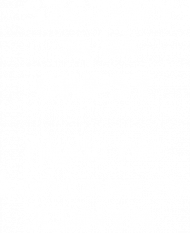 Różne kolory Koszulka damska SZCZURY są jak CHIPSY