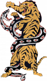 Tiger War