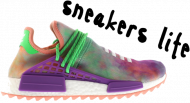 Tee Human Race