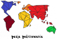 Kubek podóżnika - geometric