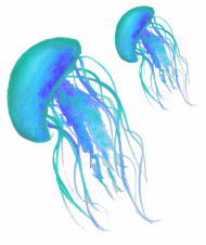kubek meduzy niebieski