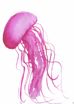 kubek meduza