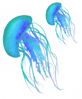 kubek meduzy niebieski