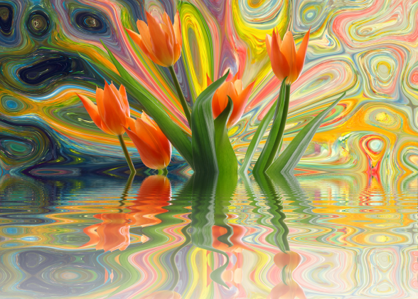 Plakat Tulipany