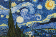 Bluzka Van Gogh "Gwieździsta nic"