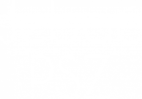 T-Shirt JPSZ