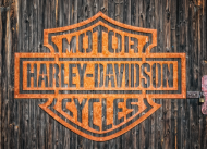Aljago - koszulka Harley