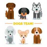 kubek - dogs team