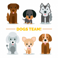 torba - dogs team