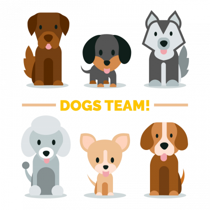 torba - dogs team