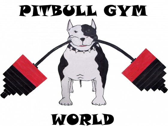 Bluza męska pitbull gym world