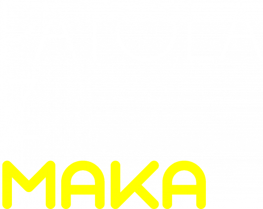 KOSZULKA (Patola Z MAKA) damska/DOWOLNY KOLOR)
