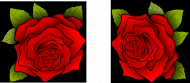 Róże