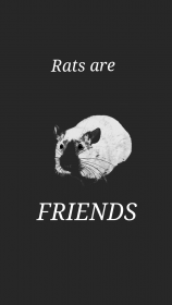 "Rats Are FRIENDS" T-shirt ze szczurem