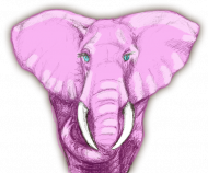 Słoń różowy