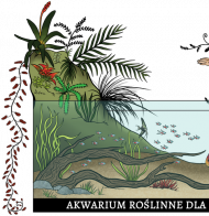 Kubek z nadrukiem -Akwarium roślinne