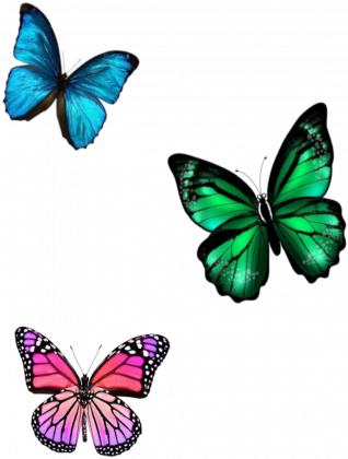Lazura Butterfly