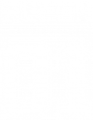 Koszulka damska Queen 01