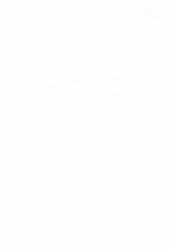 Hawk to taki polski jaszczomb bluza edukacyjna K
