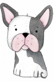 Buldog Francuski