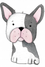 Buldog Francuski