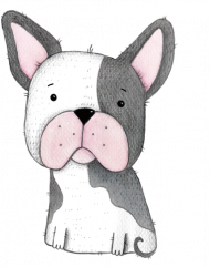 Buldog Francuski