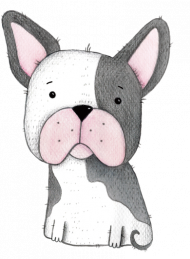 Buldog Francuski