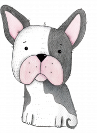 Buldog Francuski