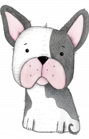 Buldog Francuski