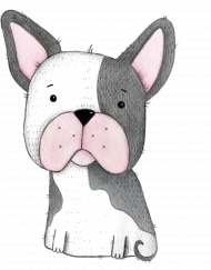 Buldog Francuski