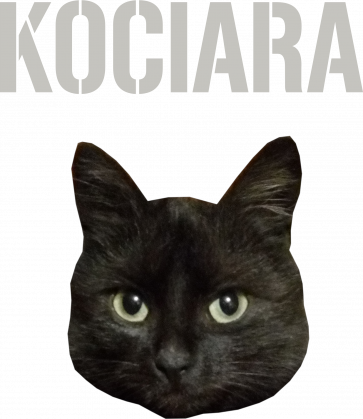 Bluza Kociara Kot Czarny