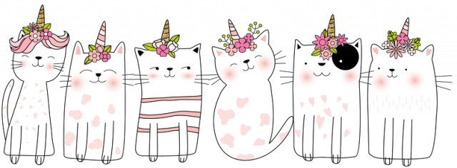 Bluza w jednorożce-koty