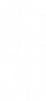 Bluza męska bez kaptura "KING 01"