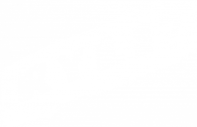 RYLI? _ bluza