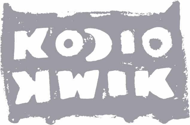 KOCIOKWIK _ bluza