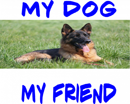 Koszulka ''My dog My friend''