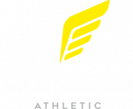 Kurtka Wings 1 logo