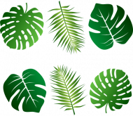 Liście zielone